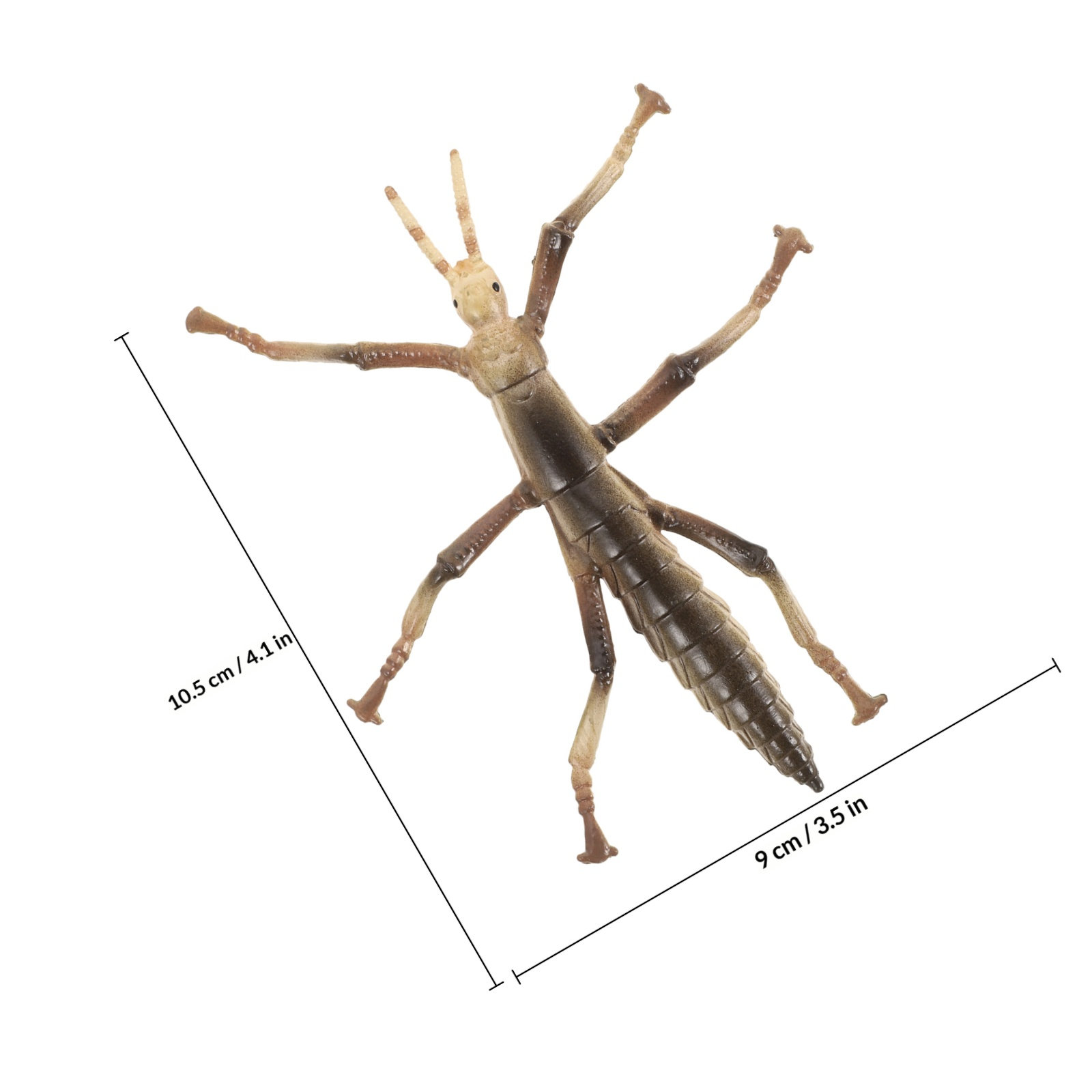 Sturdy Plastic Stick Insect fo - Kids Education Activities ulasan dan harga